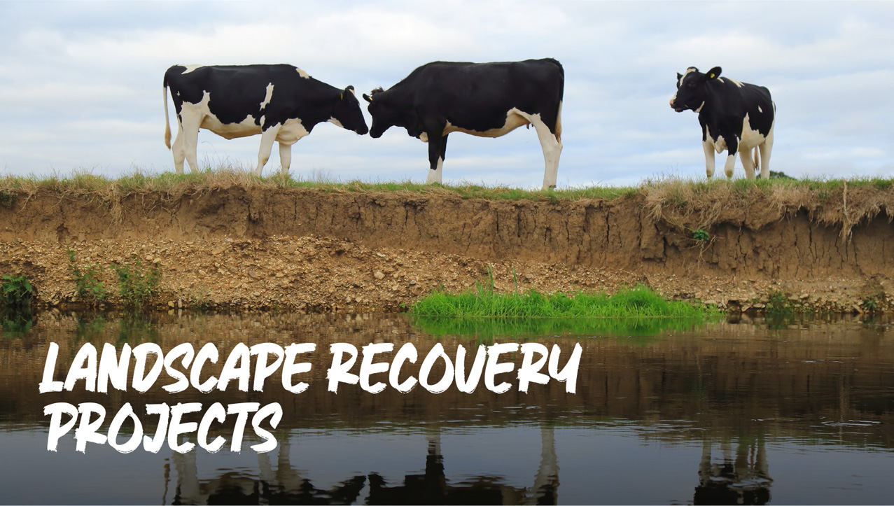 Landscape Recovery Projects