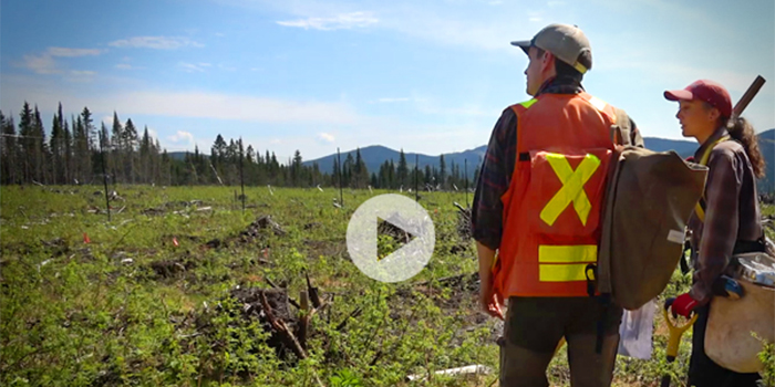 Le professeur Loïc D'Orangeville et une étudiante sur le site de TransX à la Forêt Montmorency. 