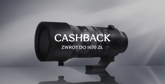 promocja zimowa sigma