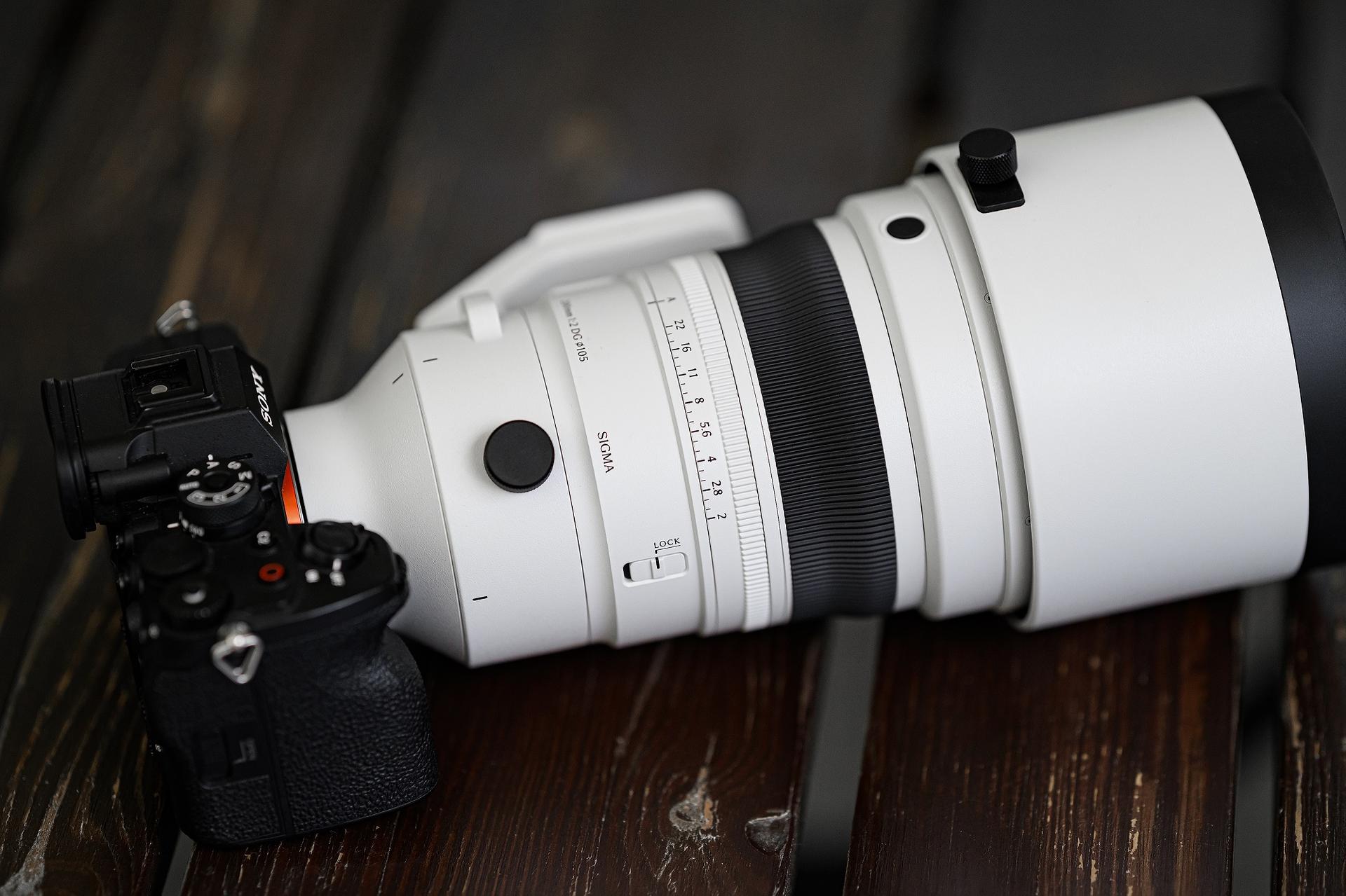 zdjęcie wróbla wykonane obiektywem SIGMA 20-200 mm F3.5-6.3 DG | Contemporary