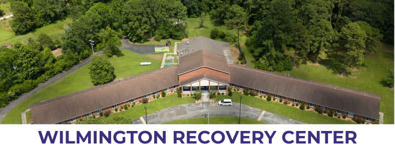 Article Image Horizontal