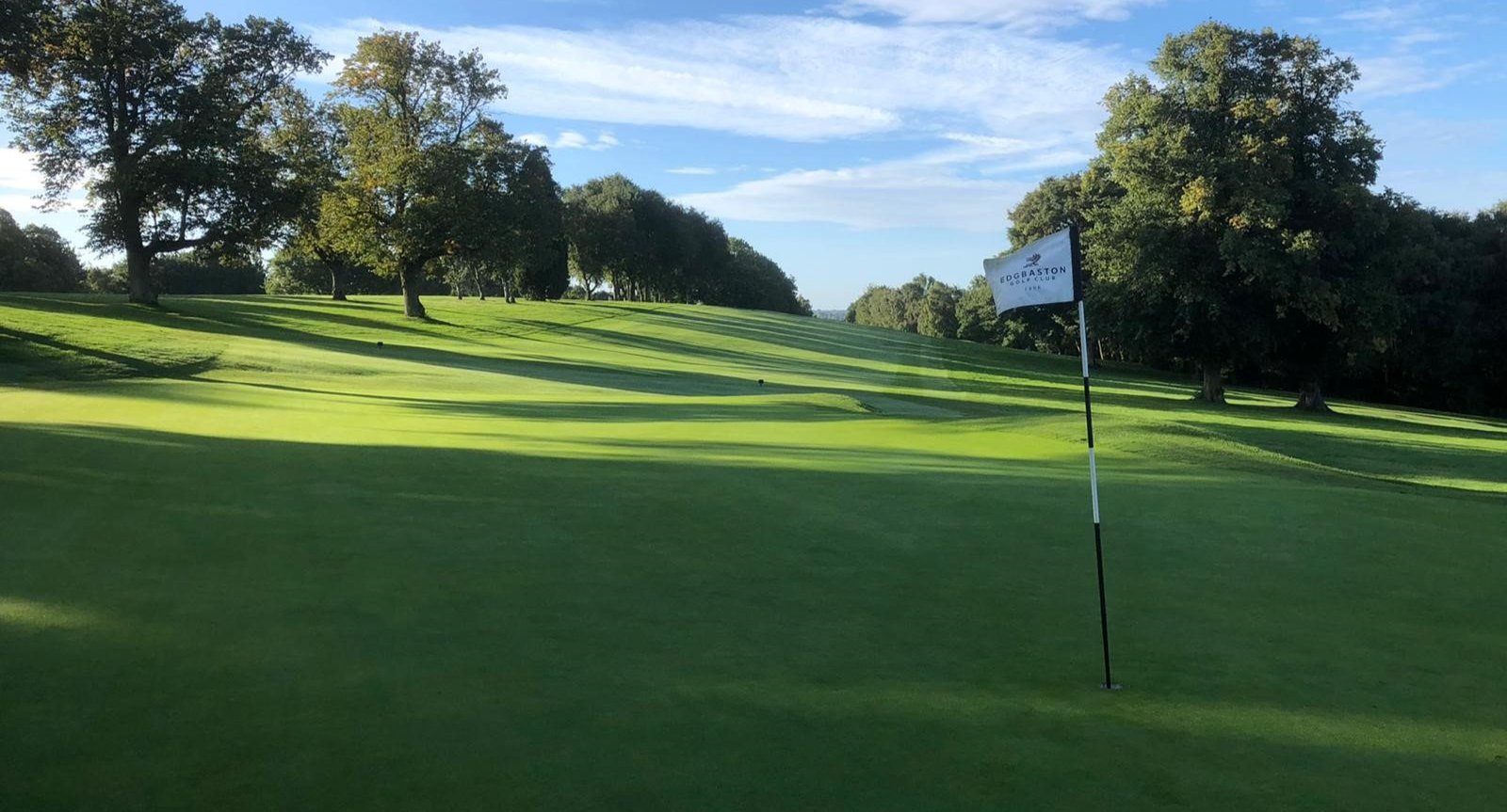 I'm an image I'm an image