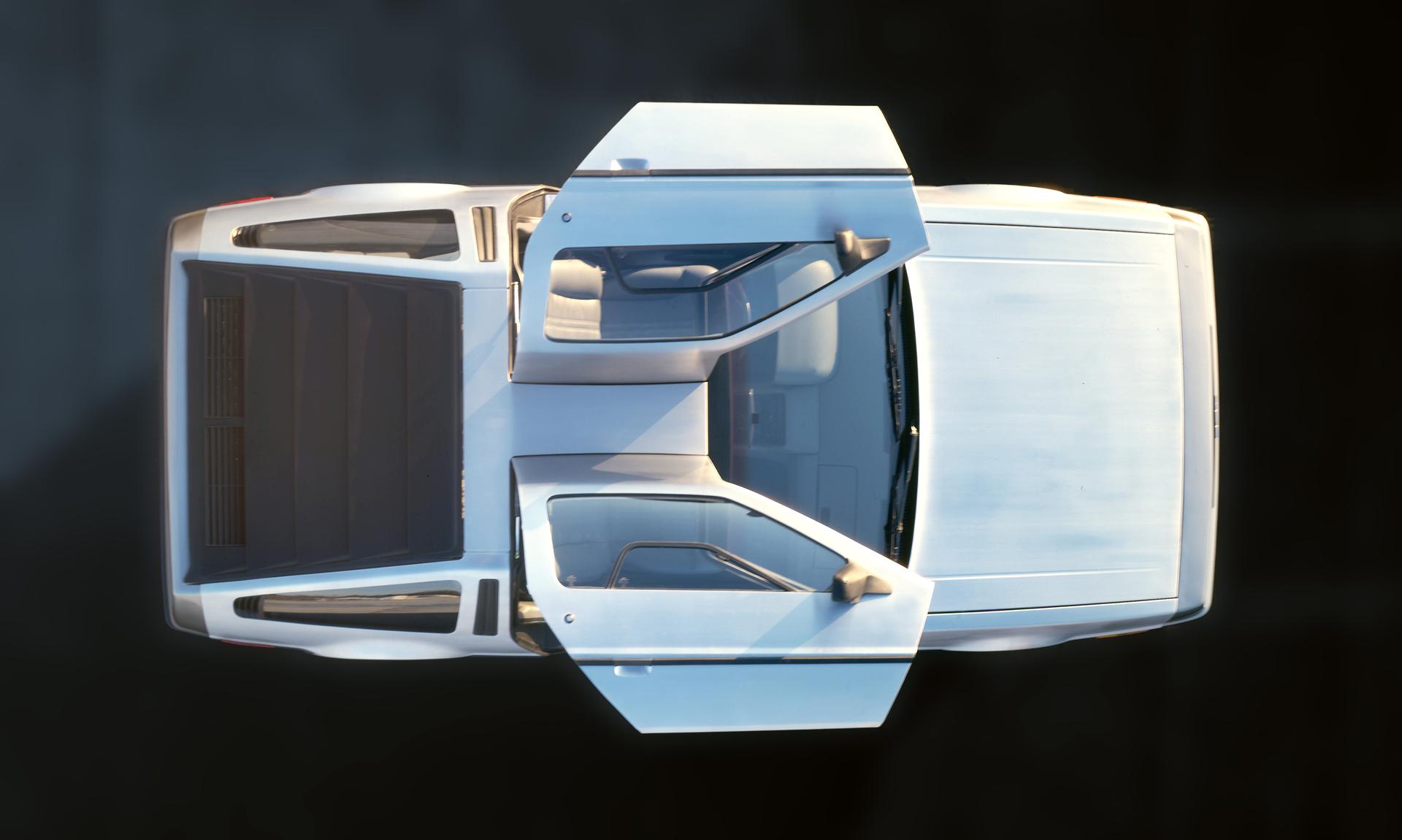 DeLorean Struts and Straps