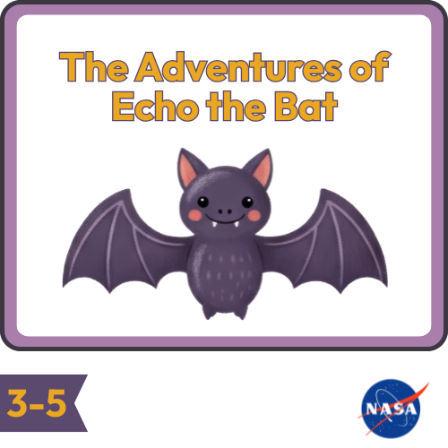 Research About Bats: bats with sound waves