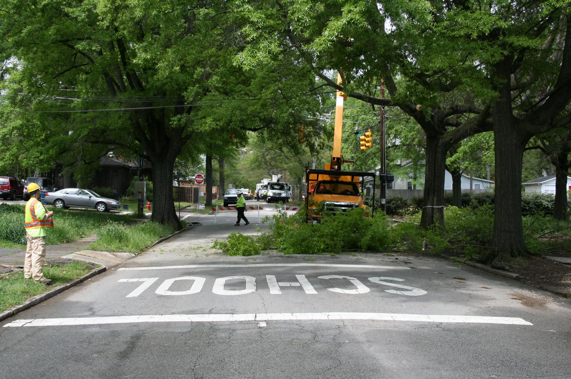 Photo of urban foresters trimming trees