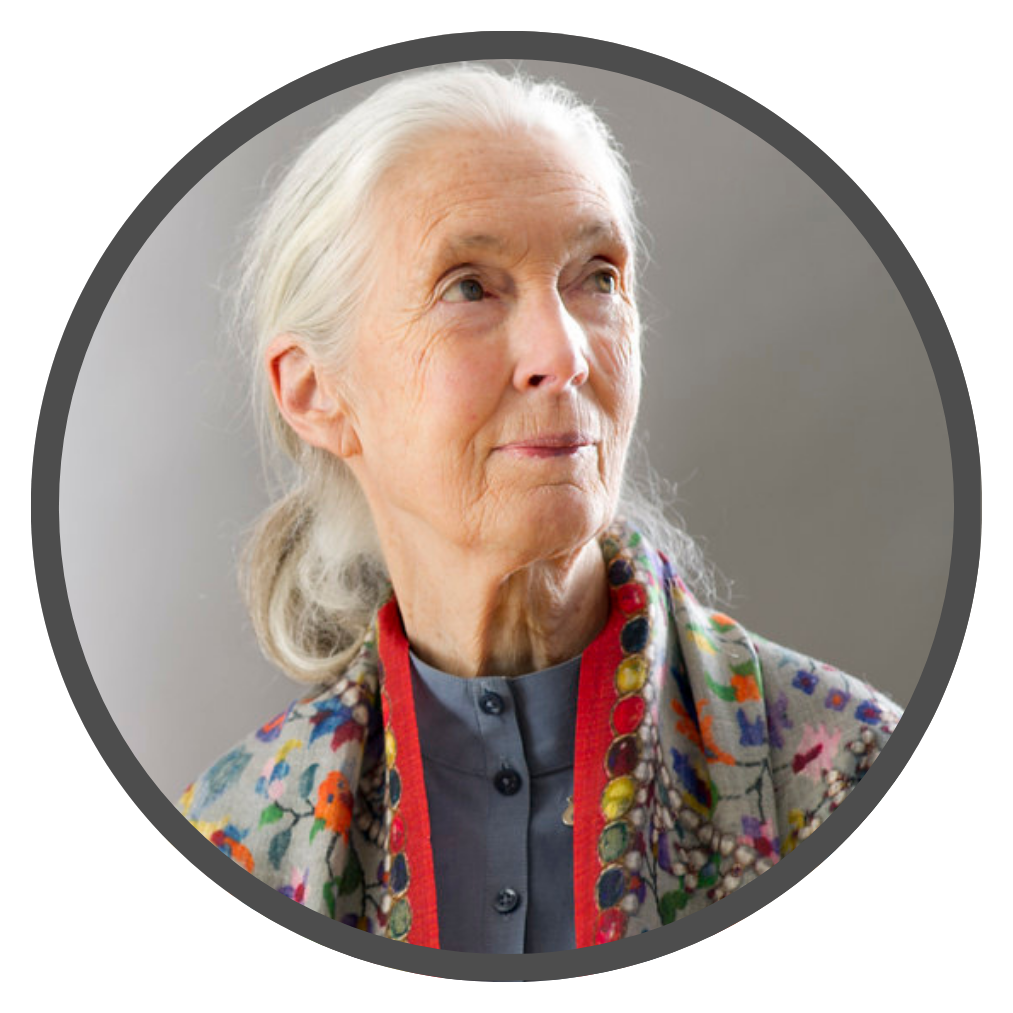Dr. Jane Goodall