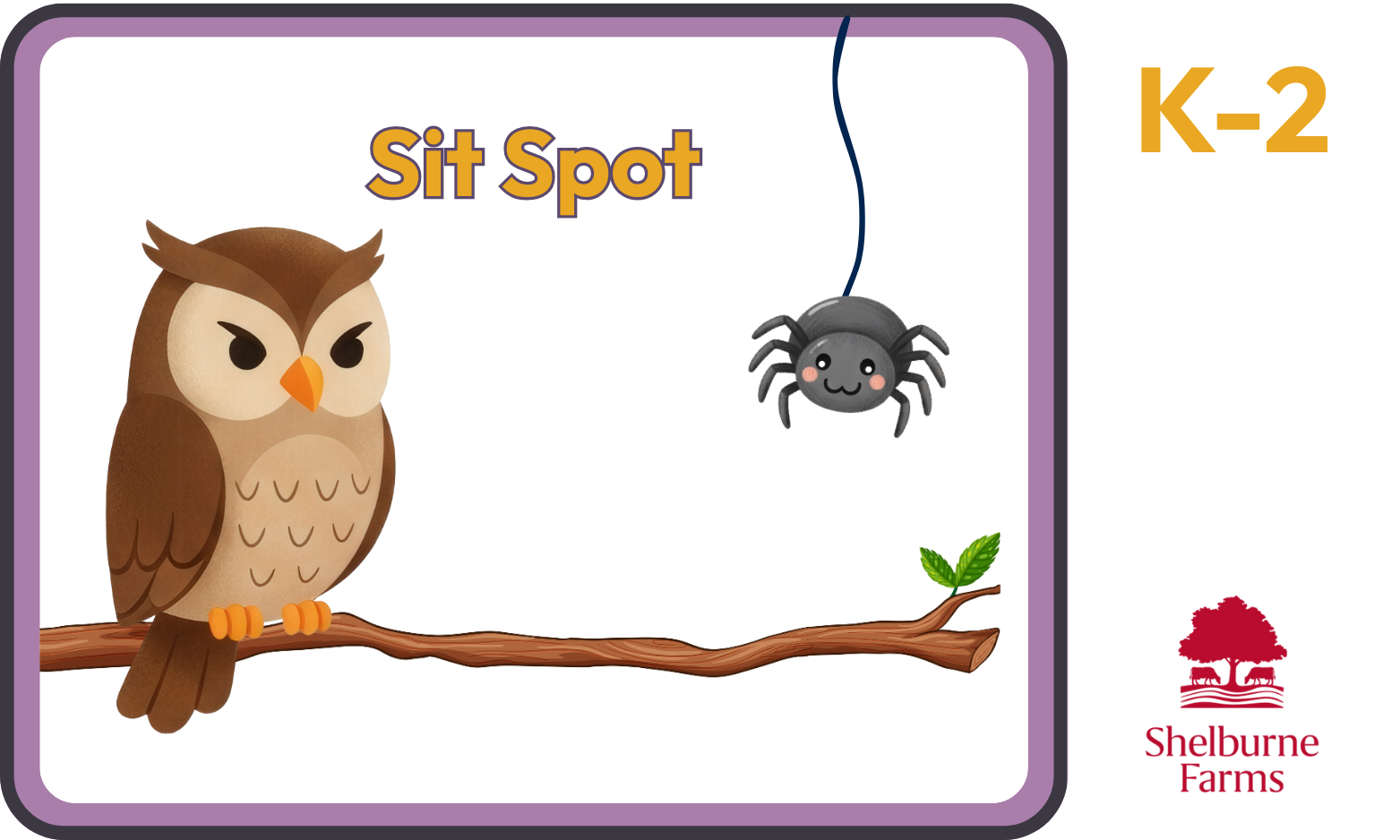 Sit Spot: owl and spider on a branch