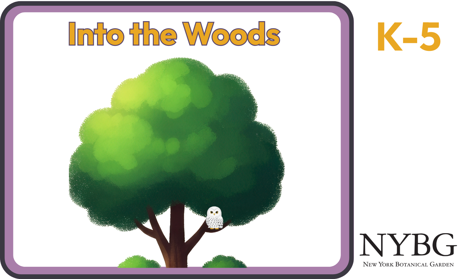 Into the Woods: owl sitting in a tree