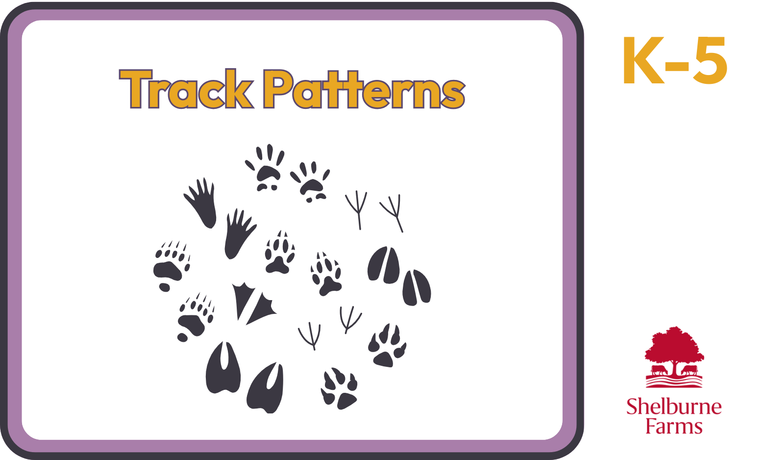 Track Patterns: animal track silhouettes