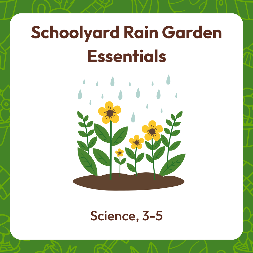 Schoolyard rain garden essentials