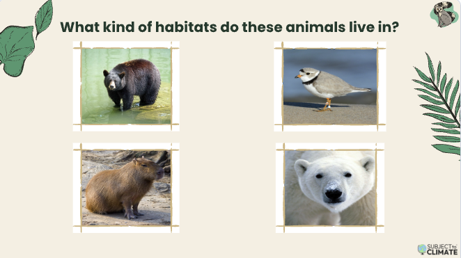 Art Unit: Animals and the Changing Climate