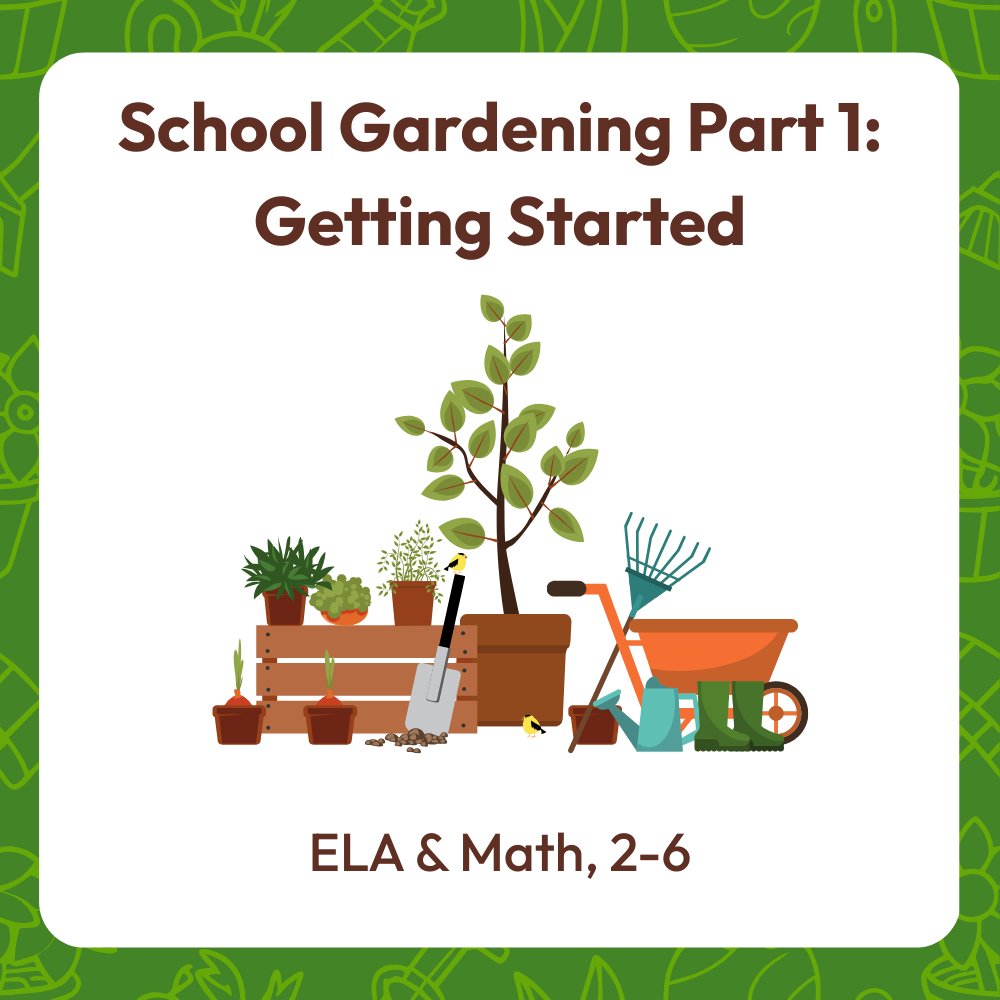 School gardening part 1: Getting started