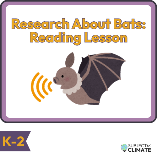 Research About Bats: bats with sound waves