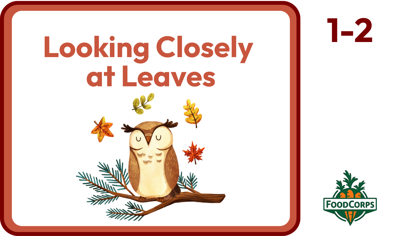 Looking Closely at Leaves thumbnail