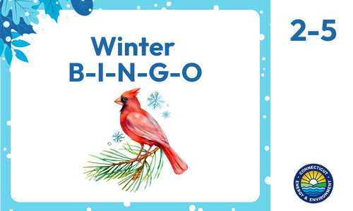 Winter BINGO