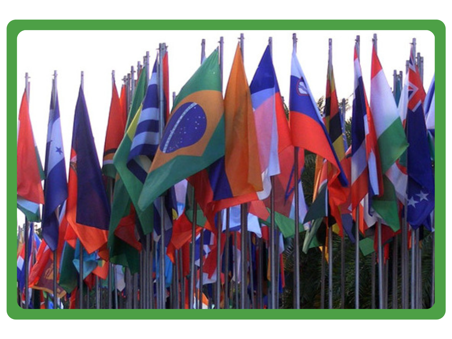 Flag of nations that participate in the Conference of the Parties