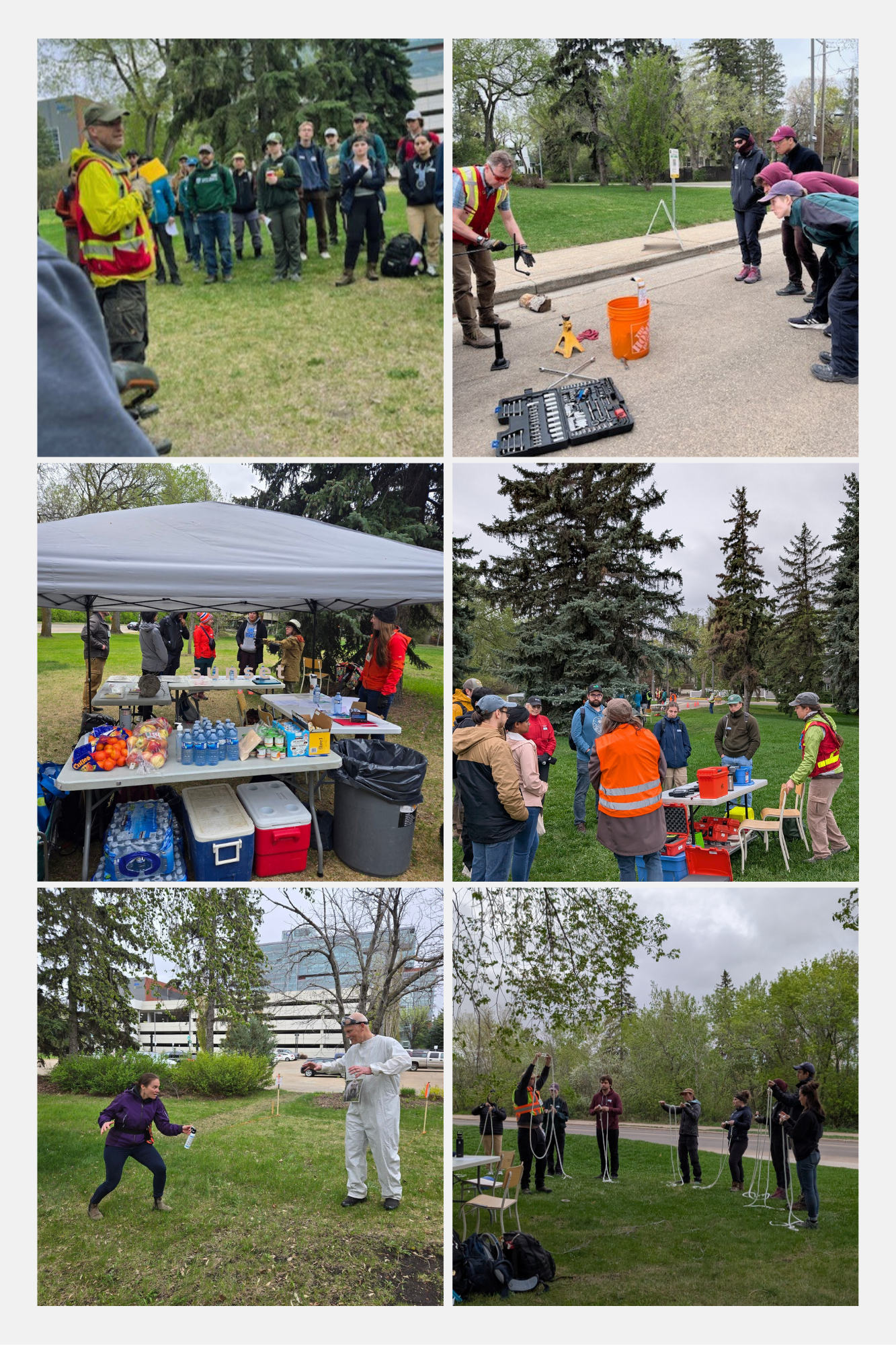 Field Skills Day Activities
