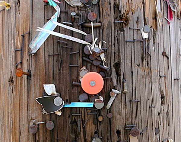 Old nails and staples on wooden pole