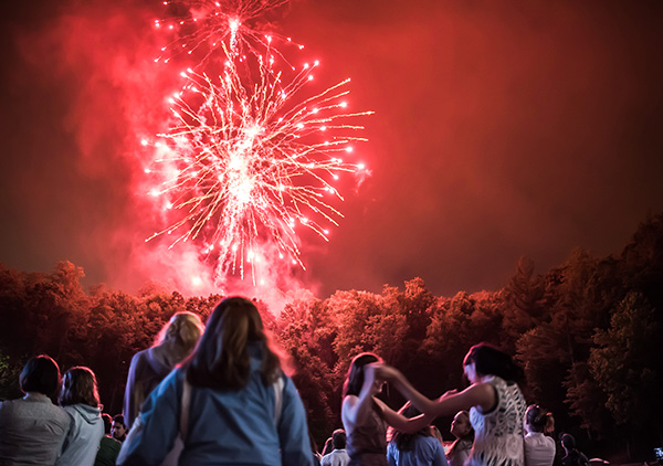 Group of people standing around watching fireworks over the tree line.