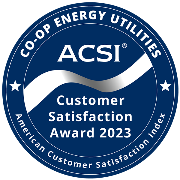 ACSI Customer Satisfaction Award 2023