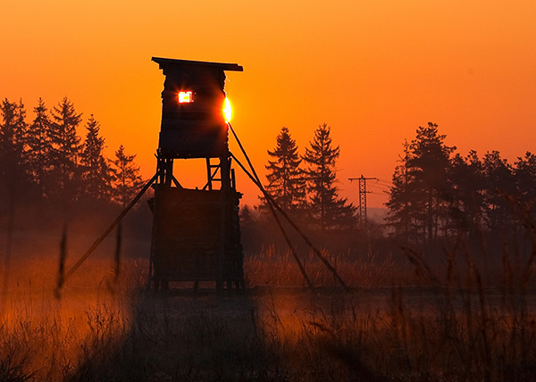 Hunting blinds in a field at sunrise.