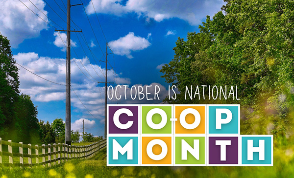 October is National Co-op Month - Photo: power lines running alongside fence and trees.