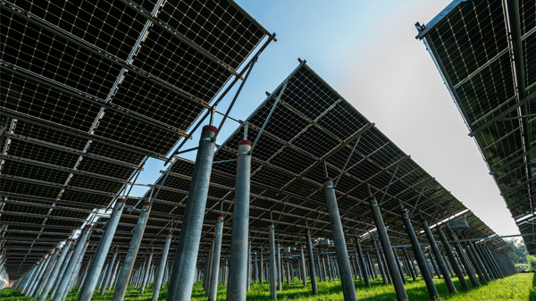 Field full of ground-mounted solar panels.