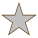 silver star icon