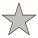 silver star icon