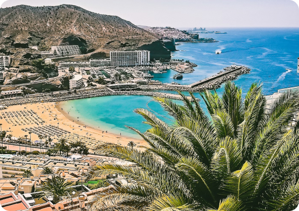Luxury Taster Cruise