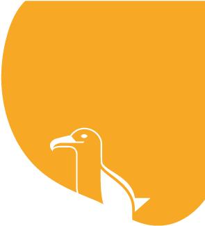 Ido, a kíváncsi sirály