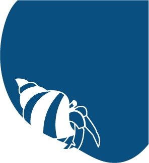 Logi, a félénk remeterák