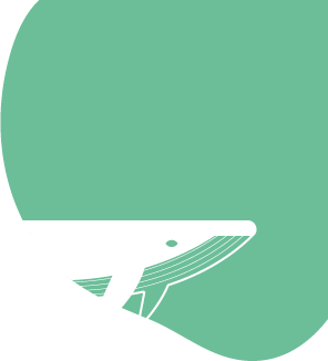 Mega, a barátságos bálna