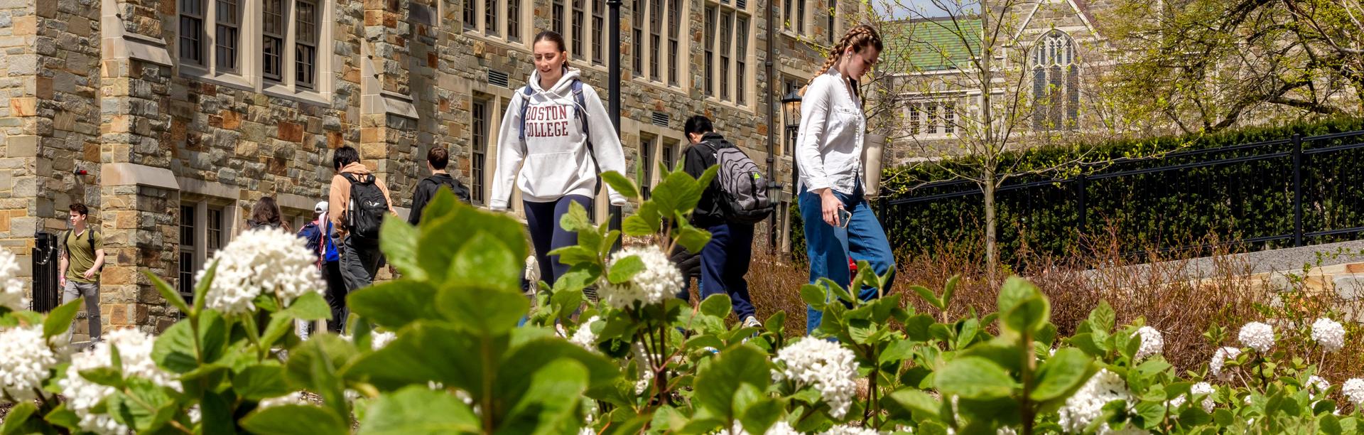 Spring campus scene