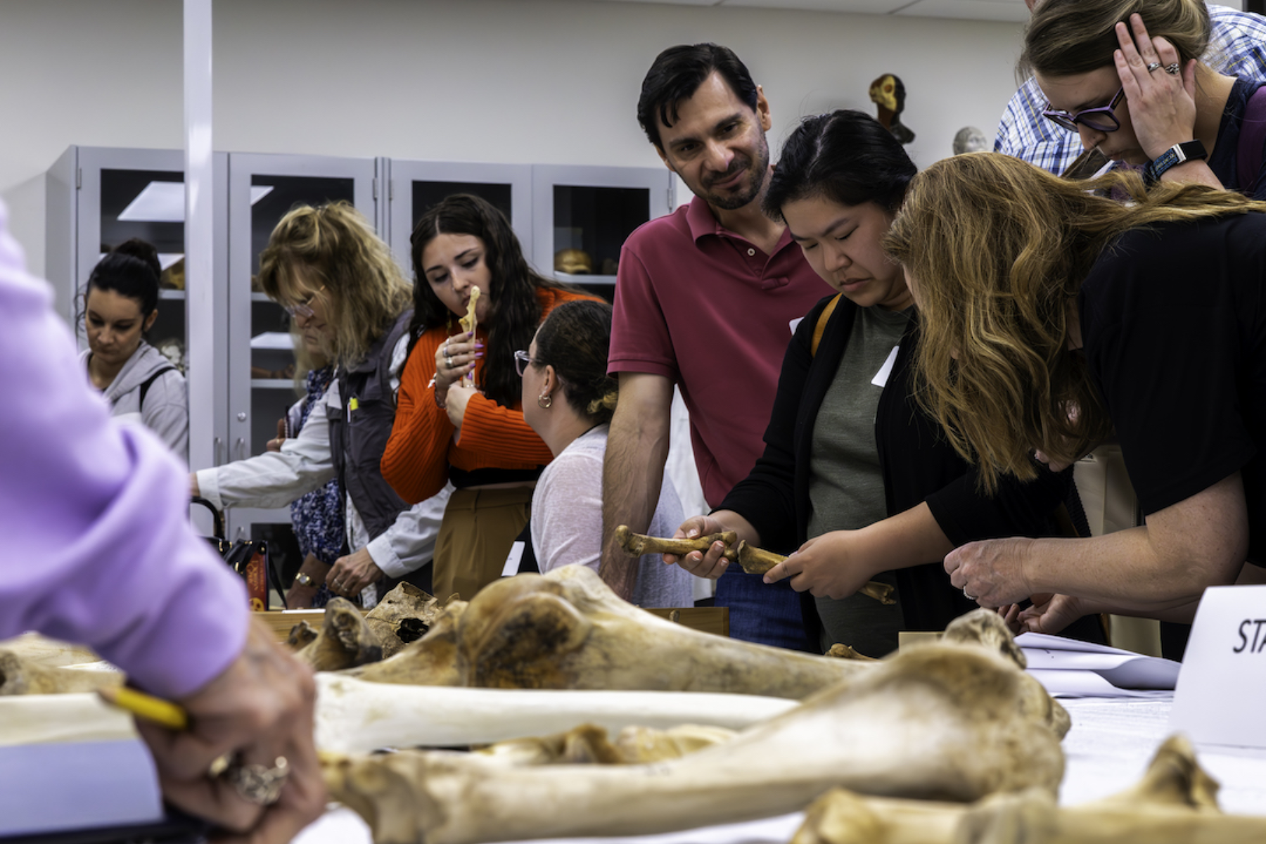 Picture of people working with bones