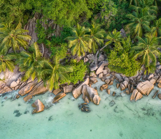Cruising the Seychelles and Coastal Tanzania
