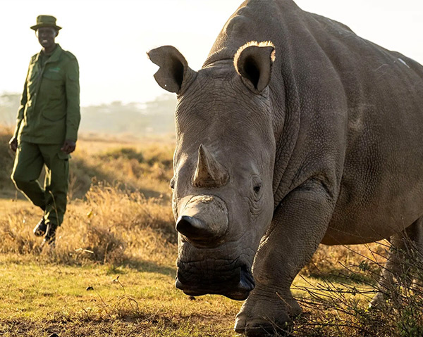 A&K Sanctuary Kenya Safari