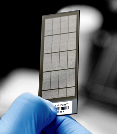 HuProt™ Proteome Microarray