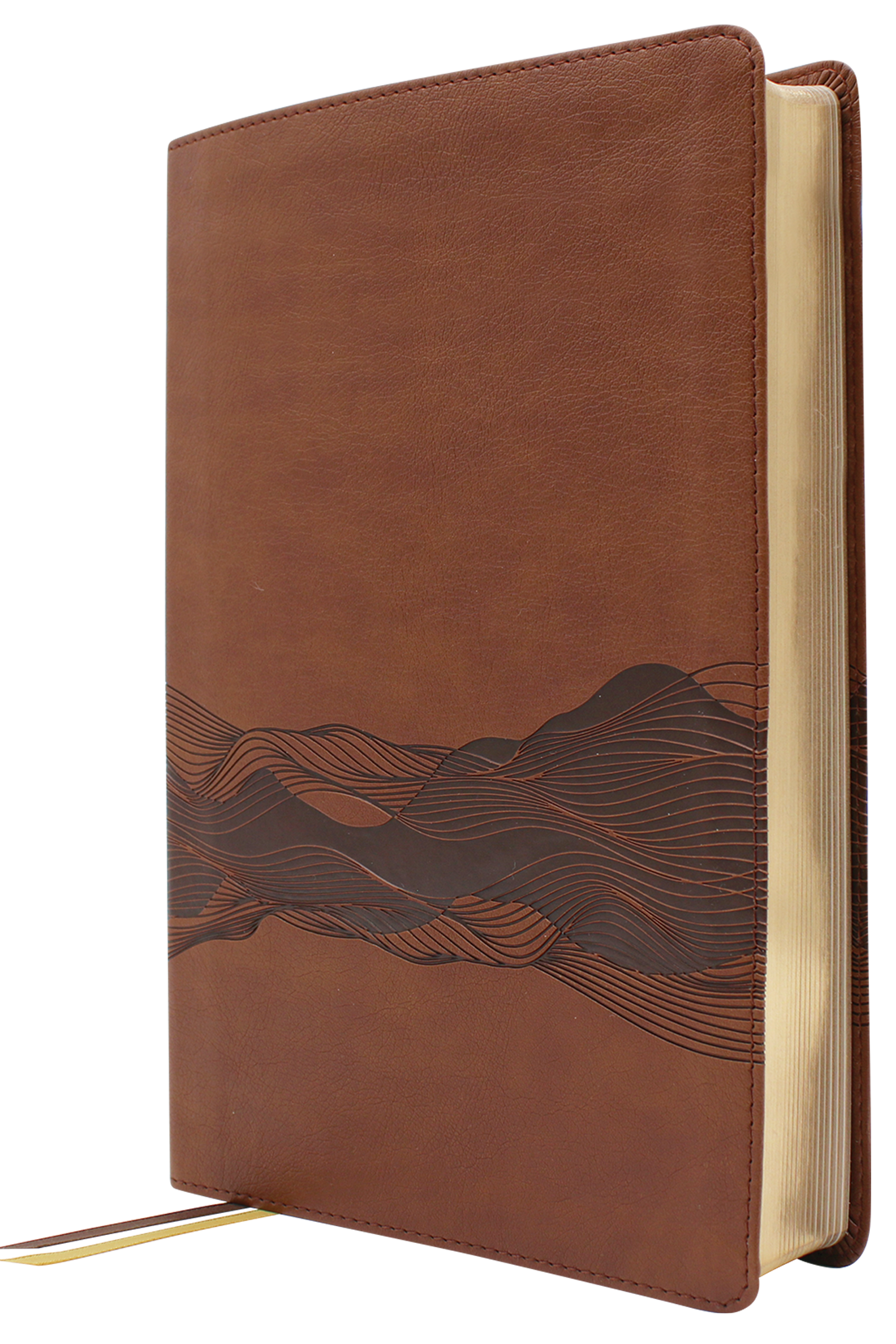 Timeline Bible Leathersoft