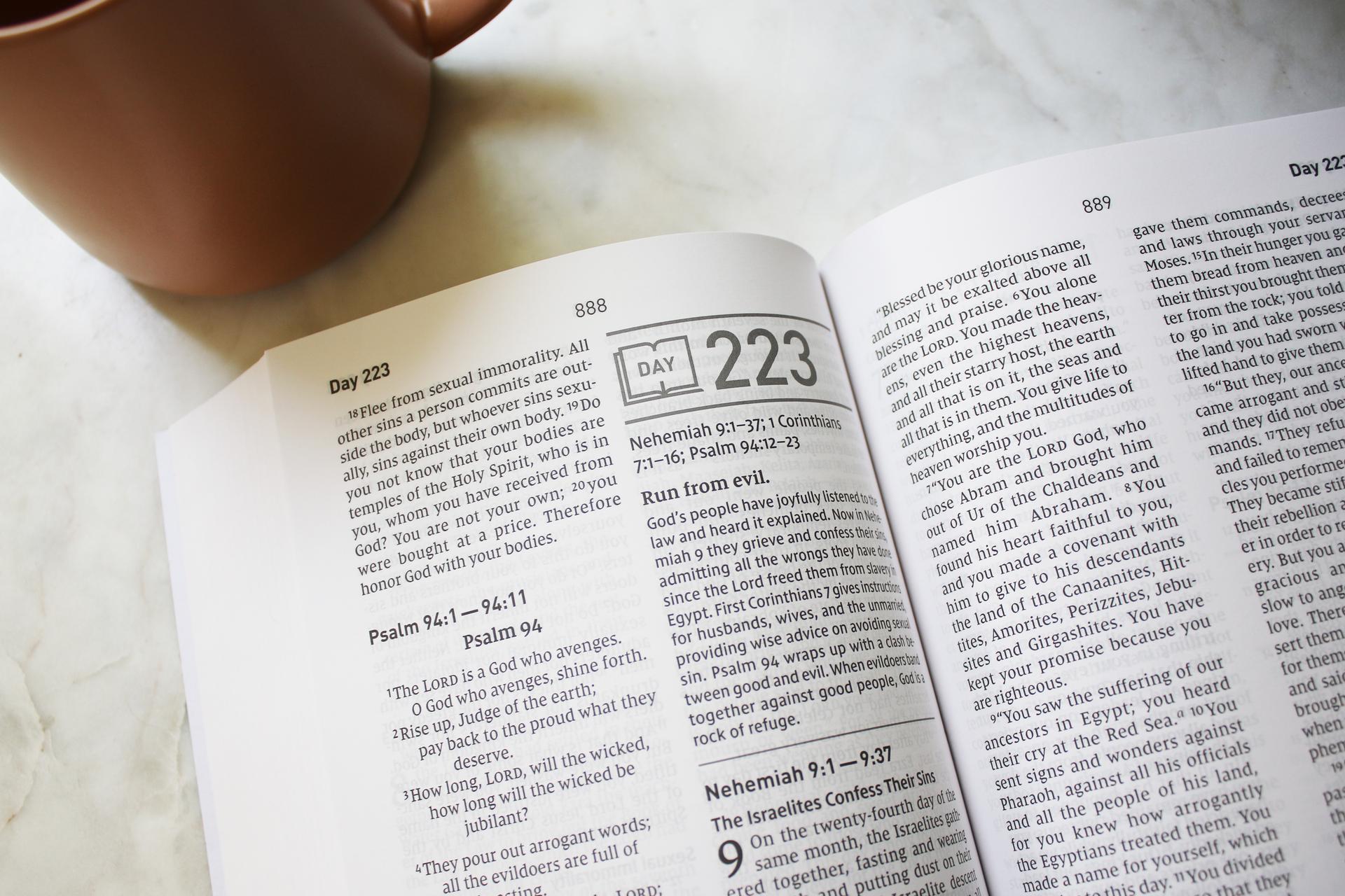 Daily Scripture Example