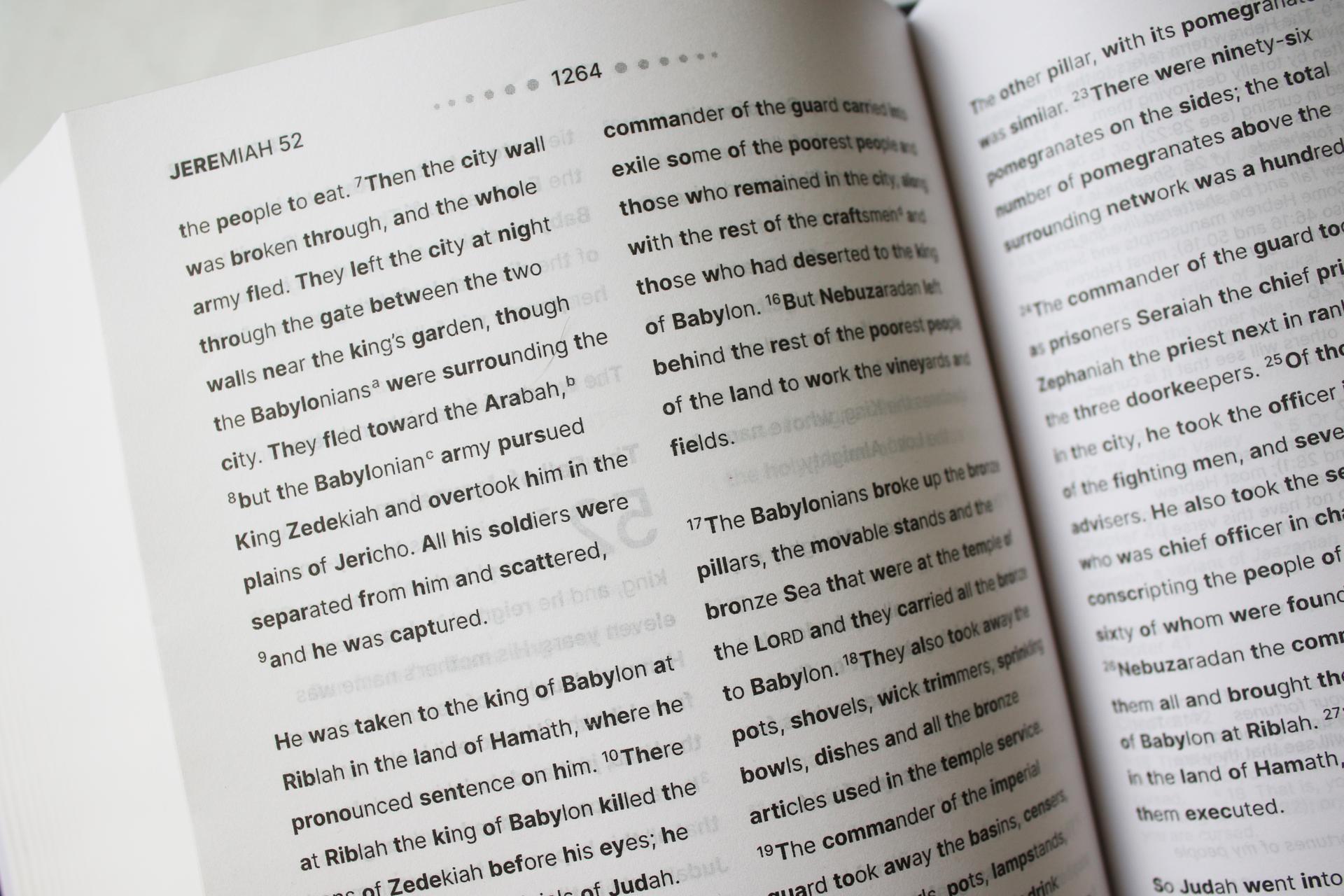 NIV Clear Focus Bible Page Sample