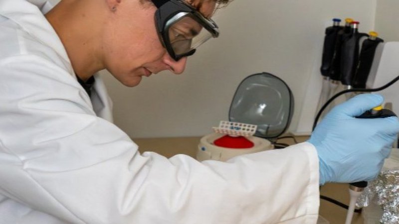 A student working in a lab