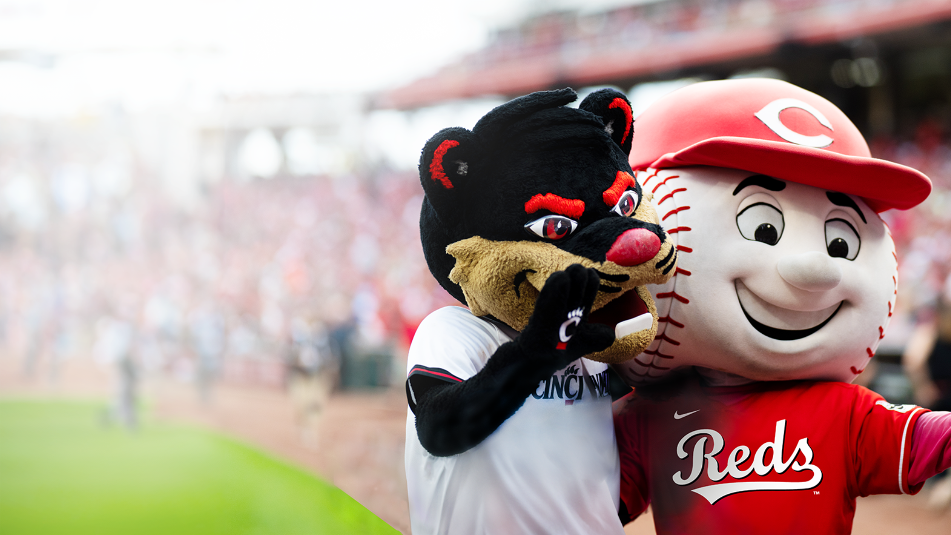 Bearcat and Red's mascot posing together on a baseball field