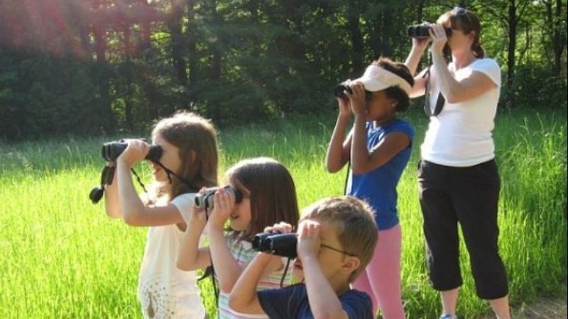Group of children and an adult using binoculars in a grassy field