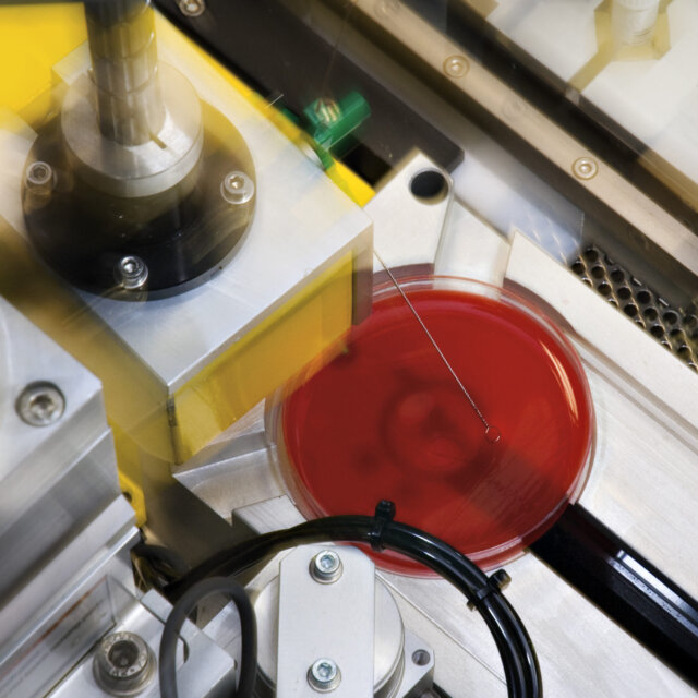 a close-up of a machine