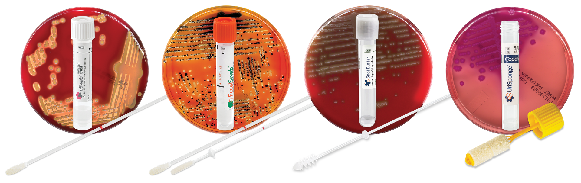 a close-up of a test tube