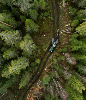 A LOC Frotas &eacute; uma empresa especializada na terceiriza&ccedil;&atilde;o e gest&atilde;o de frotas, oferecendo solu&ccedil;&otilde;es personalizadas para diversos segmentos, incluindo a ind&uacute;stria florestal. Com uma frota diversificada que atende desde ve&iacute;culos leves at&eacute; caminh&otilde;es pesados, a empresa proporciona mobilidade 