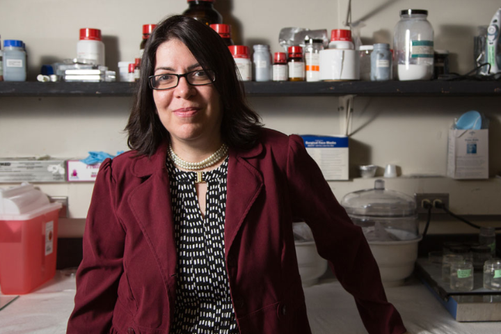 Image of Haleh Ardebili in her science lab. 
