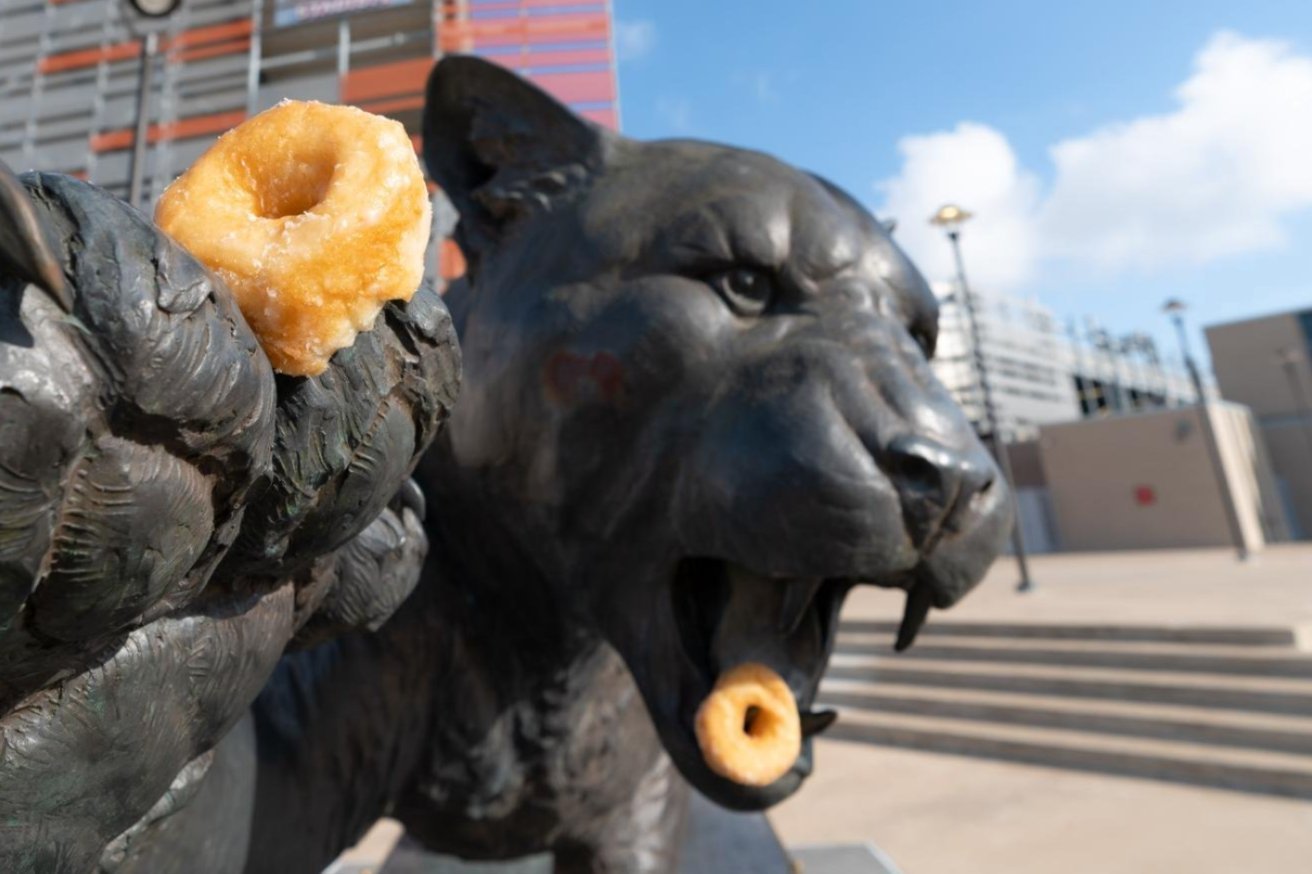 Cougar statue outside of TDECU stadium with donuts in the mouth and paw.