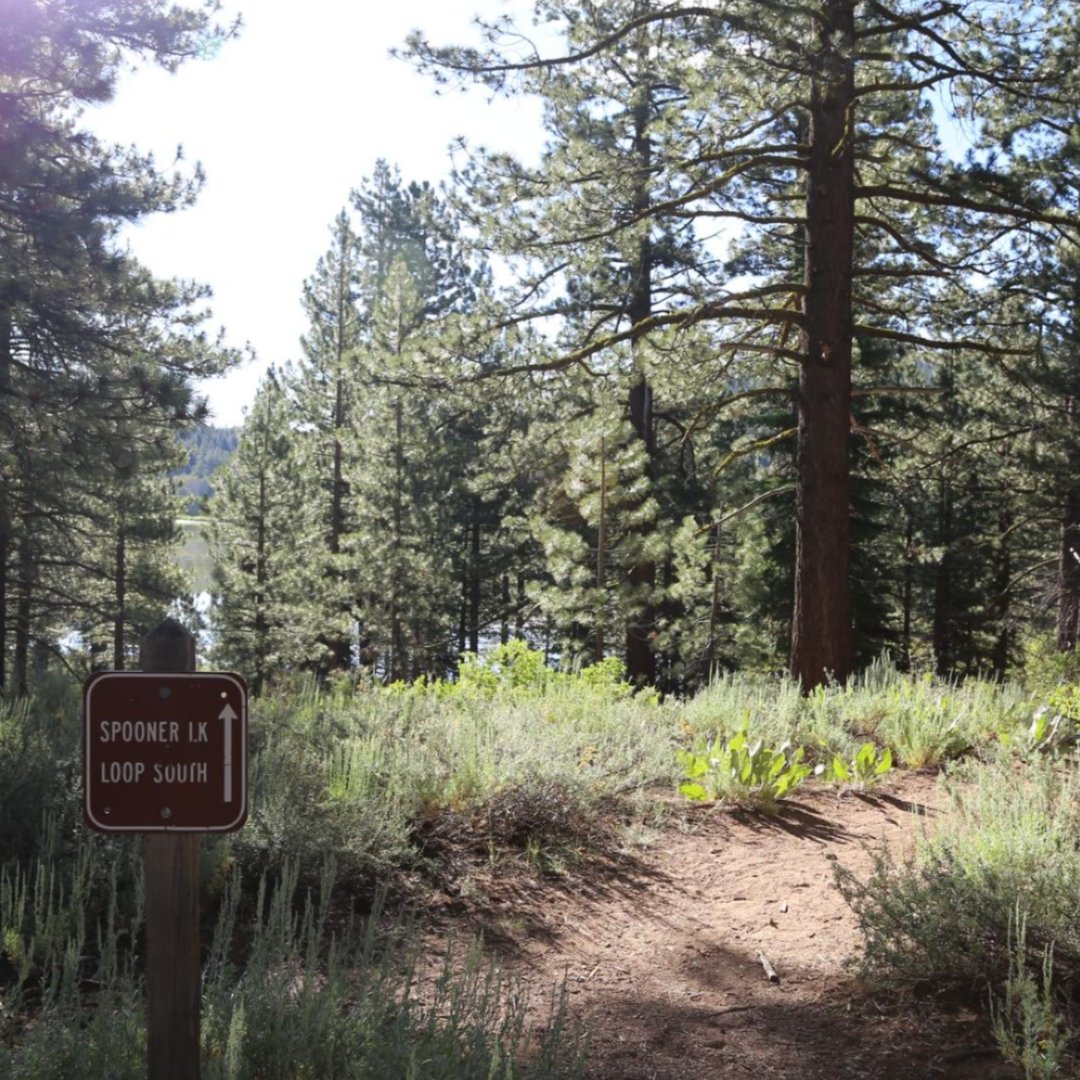 Spooner Lake Trail with pine trees in background